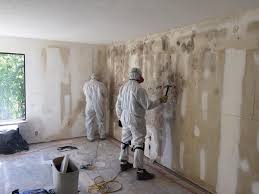 Professional Mold Removal & Remediation in Prairie Grove, IL